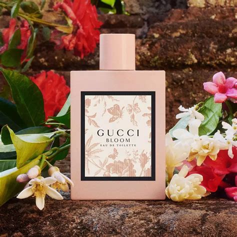 gucci 香水套装|gucci bloom.